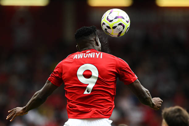 的速度进化 的速度进化